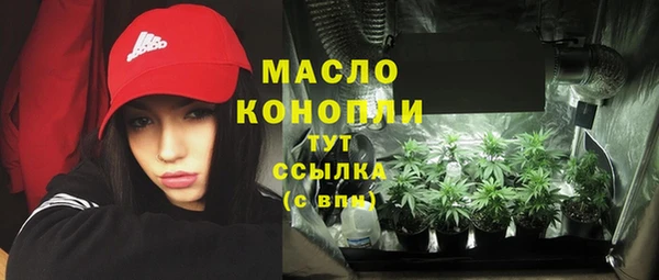 шишки Верея