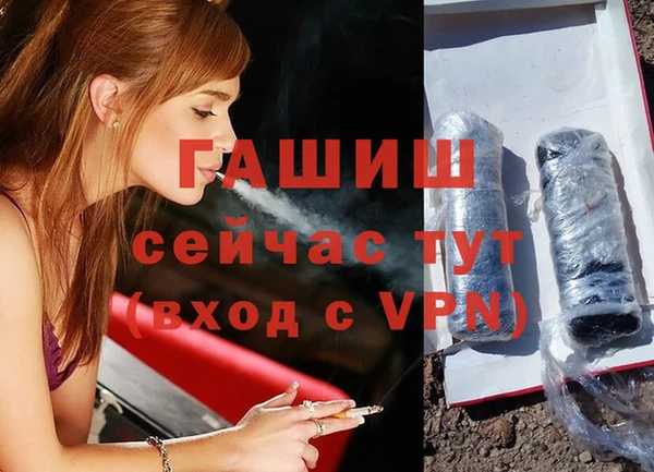 шишки Верея