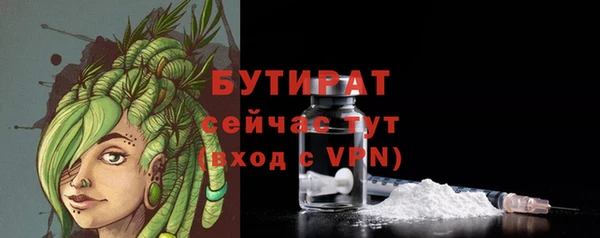шишки Верея