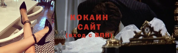 шишки Верея