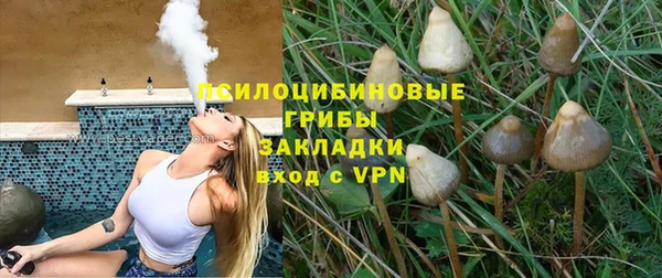 шишки Верея