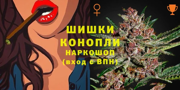 соль ск Верхний Тагил