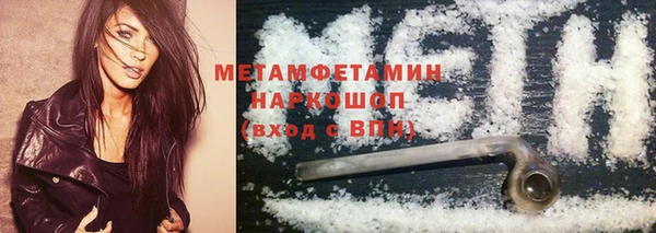 шишки Верея