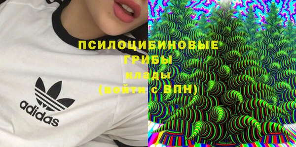 шишки Верея