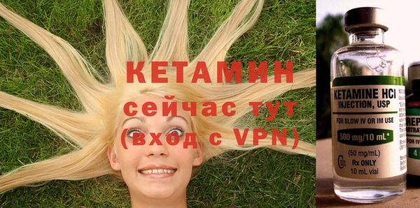 шишки Верея