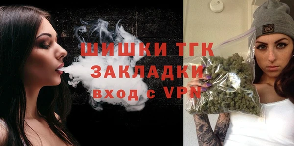 шишки Верея