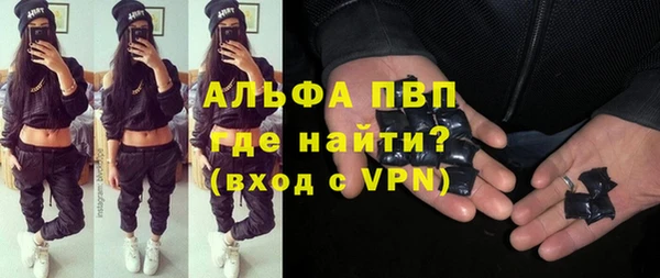 шишки Верея